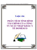 PHÂN TÍCH TÌNH HÌNH tài CHÍNH của CÔNG TY XUẤT NHẬP KHẨU y tế DOMESCO