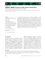 Tài liệu Báo cáo khoa học: SREBPs: SREBP function in glia–neuron interactions pdf