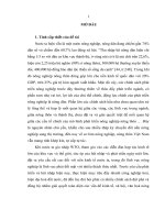 hoạch định chính sách công trong quá trình xây dựng mô hình nông thôn mới trên địa bàn quảng nam