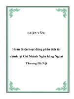 Hoàn thiện hoạt động phân tích tài chính tại Chi Nhánh Ngân hàng Ngoại Thương Hà Nội