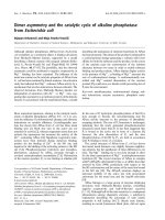 Tài liệu Báo cáo khoa học: Dimer asymmetry and the catalytic cycle of alkaline phosphatase from Escherichia coli doc
