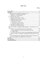 kinh tế tri thức -ảnh hưởng của kinh tế tri thức tới sự nghiệp công nghiệp hoá - hiện đại hoá ở nước ta