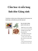 Tài liệu Cắm hoa và nến lung linh đón Giáng sinh pptx