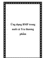 Tài liệu Ứng dụng BMP trong nuôi cá Tra thương phẩm pdf