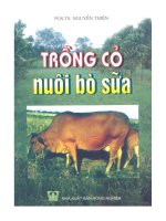 Tài liệu Trồng cỏ nuôi bò sữa pdf