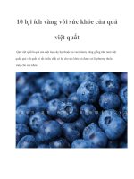 Tài liệu 10 lợi ích vàng với sức khỏe của quả việt quất pdf