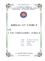 sản xuất phân bón vi sinh cố định đạm.