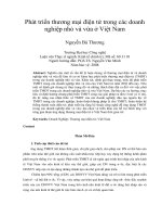 Phát triển thương mại điện tử trong các doanh nghiệp nhỏ và vừa ở việt nam