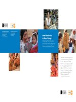 Tài liệu From Microfinance to Macro Change: Integrating Health Education and Microfinance to Empower Women and Reduce Poverty pdf