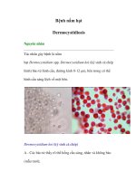 Tài liệu Bệnh nấm hạt- Dermocystidiosis doc