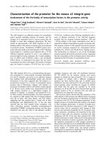 Tài liệu Báo cáo khoa học: Characterization of the promoter for the mouse a3 integrin gene Involvement of the Ets-family of transcription factors in the promoter activity doc