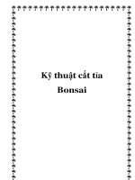 Tài liệu Kỹ thuật cắt tỉa Bonsai doc