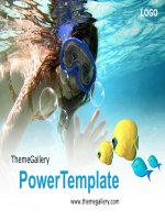 templates powerpoint 585tgp skinscuba light