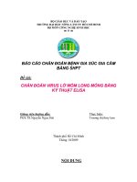 Tài liệu TIỂU LUẬN:CHẨN ĐOÁN VIRUS LỞ MỒM LONG MÓNG BẰNG KỸ THUẬT ELISA docx