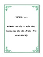 Tài liệu TIỂU LUẬN: Báo cáo thực tập tại ngân hàng thương mại cổ phần á Châu – Chi nhánh Hà Nội docx