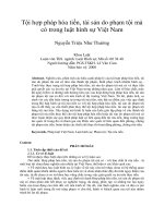 Tội hợp pháp hóa tiền, tài sản do phạm tội mà có trong luật hình sự việt nam