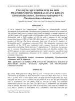 Tài liệu BÁO CÁO 