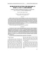 Tài liệu Báo cáo 