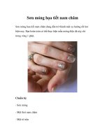 Tài liệu Sơn móng họa tiết nam châm doc