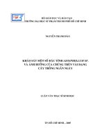 khảo sát một số đặc tính azospirillum sp. và ảnh hưởng của chúng trên vài dạng cây trồng ngắn ngày