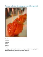 Tài liệu Thịt heo cuốn táo dành tặng mẹ yêu nhân ngày 8/3 pptx