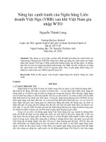 Năng lực cạnh tranh của ngân hàng liên doanh việt nga (VRB) sau khi việt nam gia nhập WTO