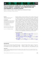 Tài liệu Báo cáo khoa học: Post-translational modiﬁcation of the deubiquitinating enzyme otubain 1 modulates active RhoA levels and susceptibility to Yersinia invasion pptx
