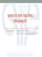 Tài liệu KINH TẾ MÔI TRƯỜNG (Bài giảng 12) docx