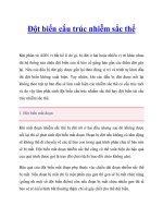 Tài liệu Đột biến cấu trúc nhiễm sắc thể potx