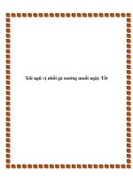 Tài liệu Xôi ngũ vị nhồi gà nướng muối ngày Tết docx