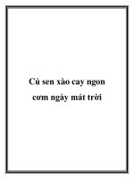 Tài liệu Củ sen xào cay ngon cơm ngày mát trời docx