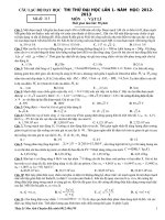 Tài liệu THI THỬ ĐẠI HỌC LẦN 1 - NĂM HỌC 2012-2013 MÔN VẬT LÝ MÃ ĐỀ 315 pptx