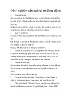 Tài liệu Kinh nghiệm sản xuất cá rô đồng giống doc