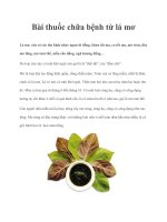 Tài liệu Bài thuốc chữa bệnh từ lá mơ pot