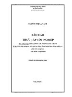 Giải pháp nâng cao hiệu quả huy động vốn tại ngân hàng Nông nghiệp và phát triển nông thôn - chi nhánh Lang Chánh