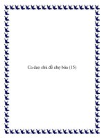 Tài liệu 12 bài ca dao chủ đề chợ búa doc