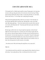 Tài liệu CON CÓC LIẾM NƯỚC MƯA doc