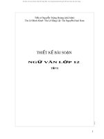 giáo án văn 12 tập 2