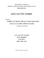 nghiên cứu buồng trứng và khả năng sinh sản của các dòng tôm sú gia hóa