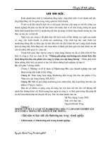 những giải pháp marketing-mix nhằm thúc đẩy hoạt động tiêu thụ sản phẩm của công ty nhựa cao cấp hàng không