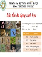 Tài liệu Bảo tồn đa dạng sinh học doc