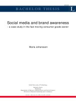 Tài liệu SOCIAL MEDIA AND BRAND AWARENESS - A CASE STUDY IN THE FAST MOVING CONSUMER GOODS SECTOR docx