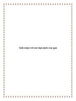 Tài liệu Giải rượu với các loại nước rau quả docx