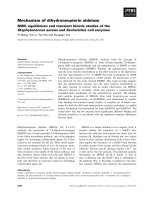 Tài liệu Báo cáo khoa học: Mechanism of dihydroneopterin aldolase NMR, equilibrium and transient kinetic studies of the Staphylococcus aureus and Escherichia coli enzymes docx