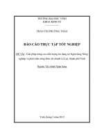 Giải pháp nâng cao chất lượng tín dụng tại Ngân hàng Nông nghiệp và phát triển nông thôn chi nhánh Lê Lợi, thành phố Vinh