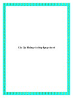 Tài liệu Cây Địa Hoàng và công dụng của nó docx