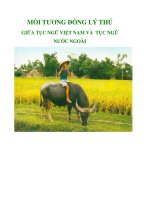 Tài liệu MỐI TƯƠNG ĐỒNG LÝ THÚ GIỮA TỤC NGỮ VIỆT NAM VÀ TỤC NGỮ NƯỚC NGOÀI pptx