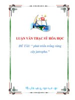 luận văn phát triển trồng rừng cây jatropha