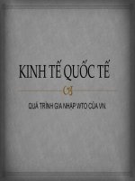 KINH TẾ QUỐC TẾ QUÁ TRÌNH GIA NHẬP WTO CỦA VN