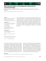 Tài liệu Báo cáo khoa học: Prion protein library of recombinant constructs for structural biology docx